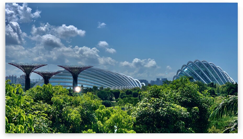 Gardens by the Bay Singapore 1 by Jimmy Roy Photos