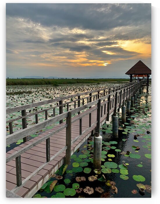 Follow to the Gazebo by Jimmy Roy Photos