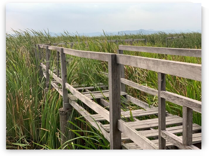 At Your Own Risks by Jimmy Roy Photos