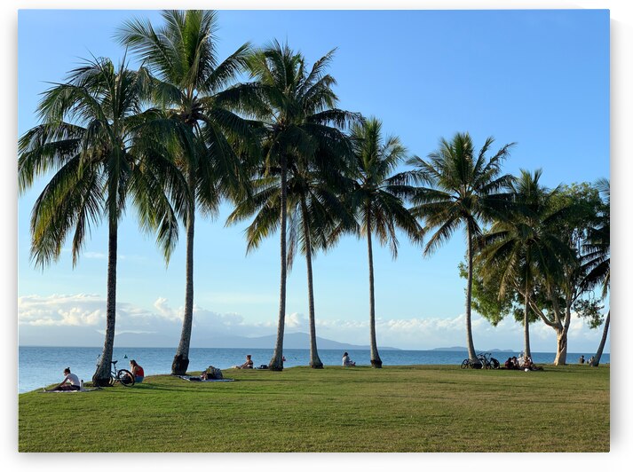 Let s Chill Under the Palm Trees by Jimmy Roy Photos