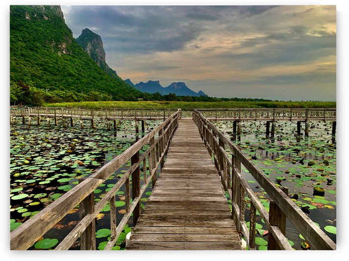 Wooden Walkway by Jimmy Roy Photos