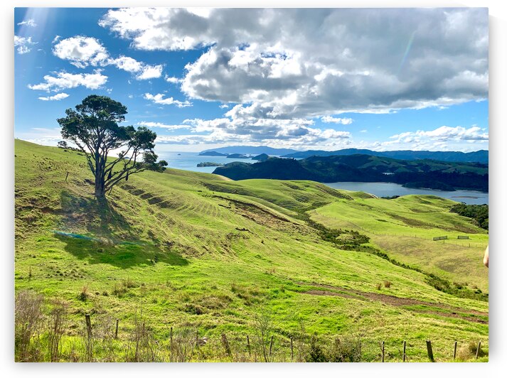 Beautiful Scenery by Jimmy Roy Photos