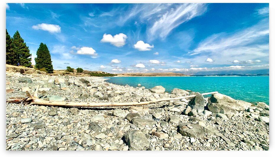 Dead Wood in Front of the Lake by Jimmy Roy Photos
