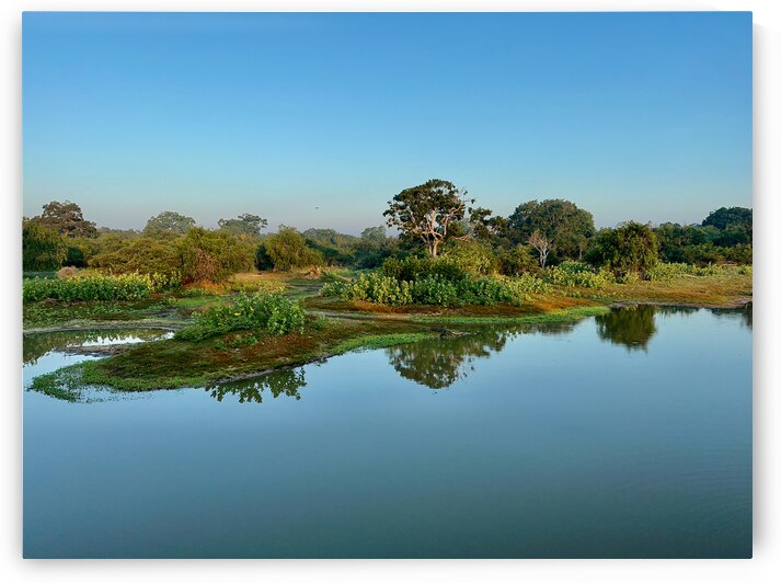 Beatiful Reflection Over Calm Water by Jimmy Roy Photos