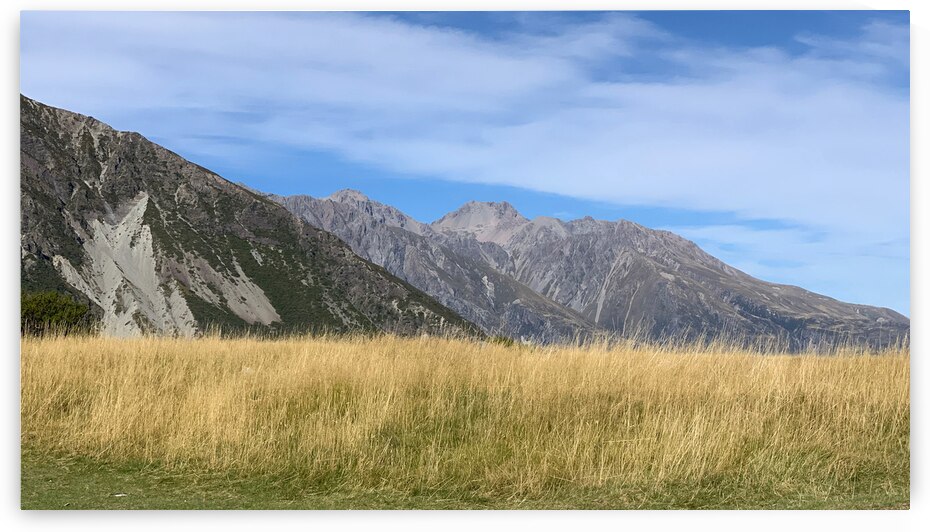 Nice Field by Jimmy Roy Photos