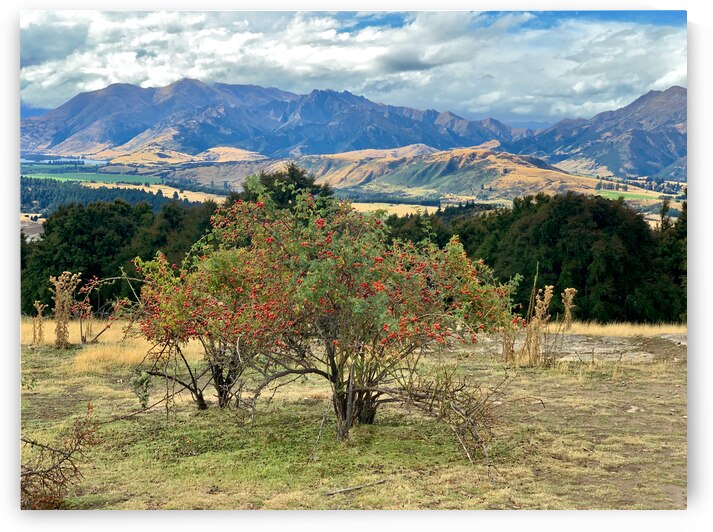 View From Mount Iron New Zealand After a Storm 6. by Jimmy Roy Photos