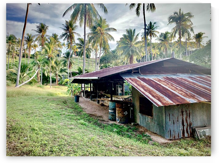 Big Rusty Shack Coconut by Jimmy Roy Photos