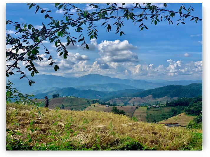 Amazing Landscape by Jimmy Roy Photos