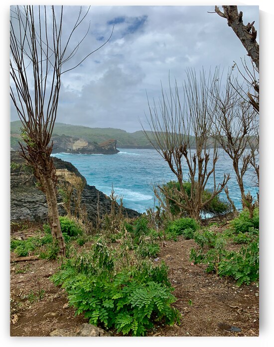 Broken Beach Nusa Penida Indonesia 2 by Jimmy Roy Photos