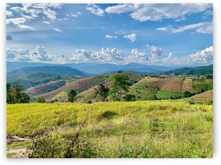 Amazing Landscape 2 by Jimmy Roy Photos