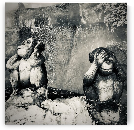 BW Didn t See it Didn t Hear it Monkeys by Jimmy Roy Photos