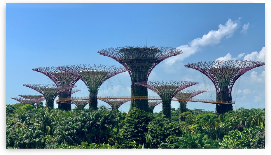 Gardens by the Bay Singapore by Jimmy Roy Photos