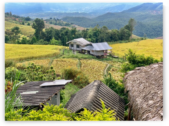 Village in the Rice Fields 2 by Jimmy Roy Photos