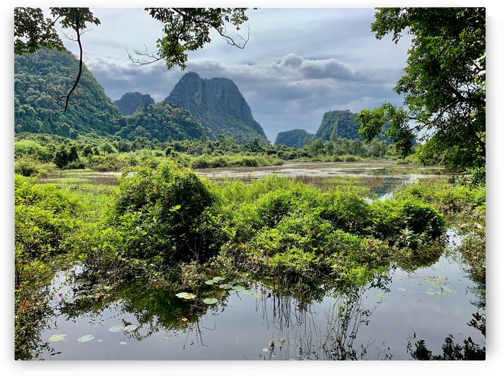 Wetland and Mountains by Jimmy Roy Photos