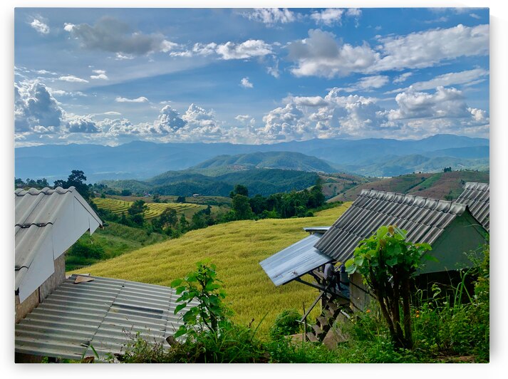 Village in the Rice Fields by Jimmy Roy Photos