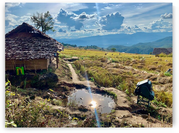 Sun Reflecting in the Puddle by Jimmy Roy Photos