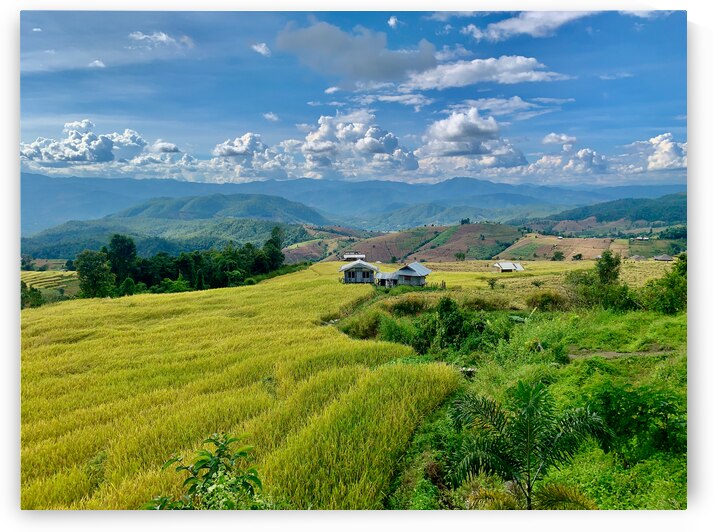 Village in the Rice Fields 3 by Jimmy Roy Photos