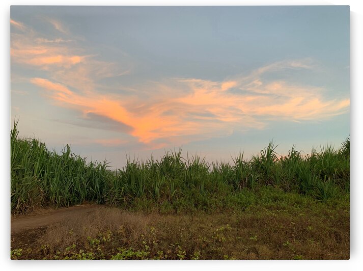Calming Sky by Jimmy Roy Photos