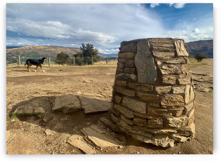 Dog on the Top of Mount Iron New Zealand by Jimmy Roy Photos