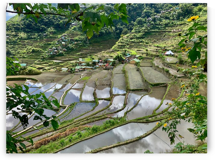 Banaue Philippines 11 by Jimmy Roy Photos