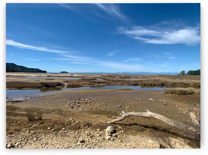 Abel Tasman National Park New Zealand 1 by Jimmy Roy Photos