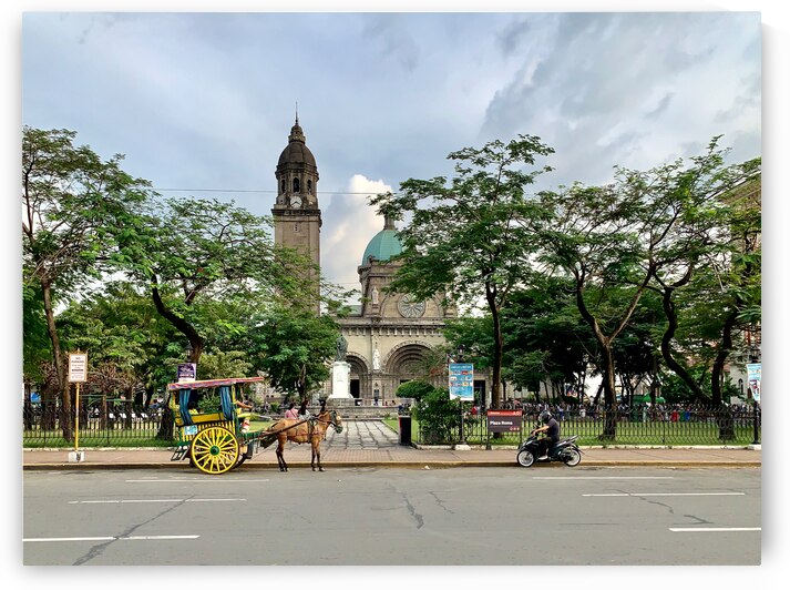 The Manila Cathedral by Jimmy Roy Photos