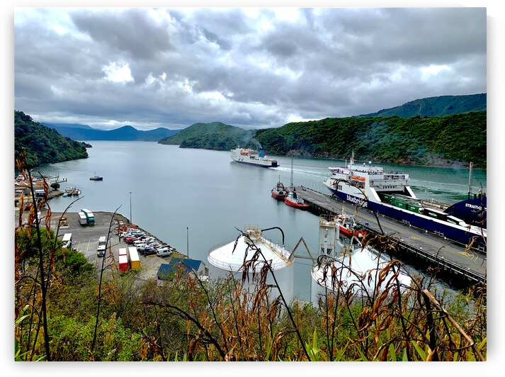 Pictons Ferry New Zealand by Jimmy Roy Photos