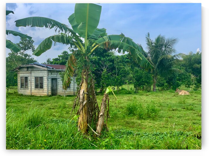 House on the Farm in the Philippines 1 by Jimmy Roy Photos