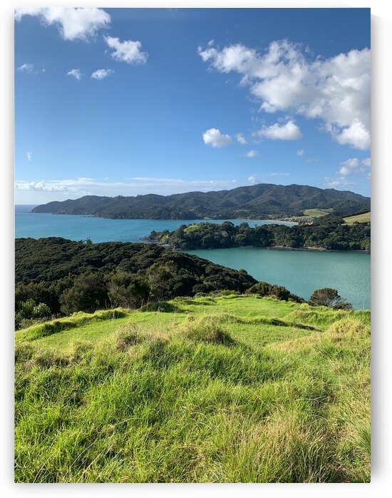 Viewpoint in Rangikapiti Pa Historic Reserve New by Jimmy Roy Photos