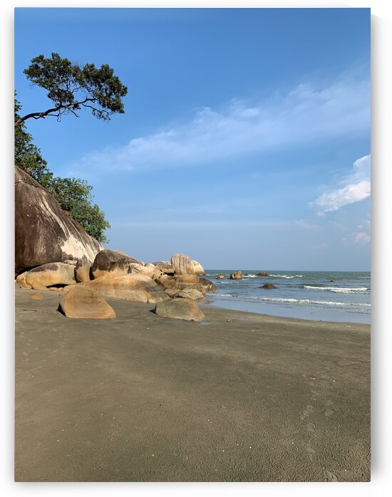 Tree Growing Right by Jimmy Roy Photos