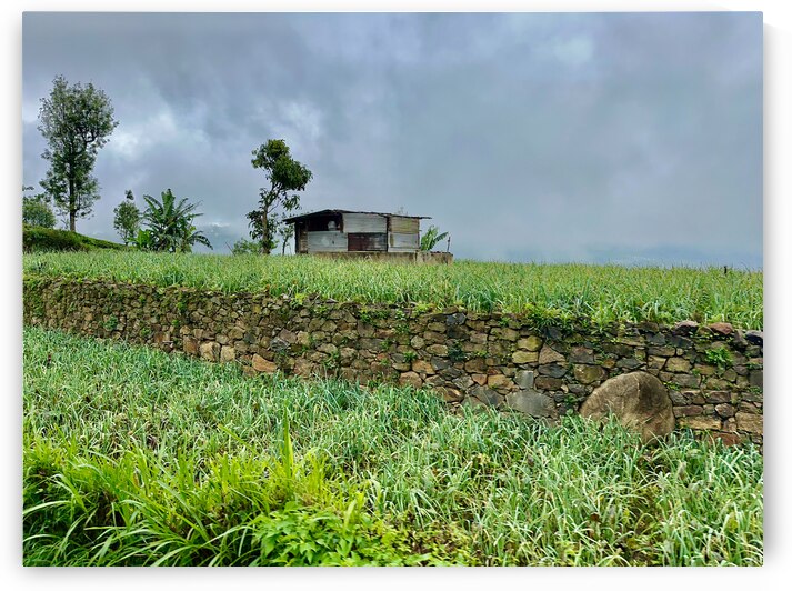 Leveled Field House by Jimmy Roy Photos