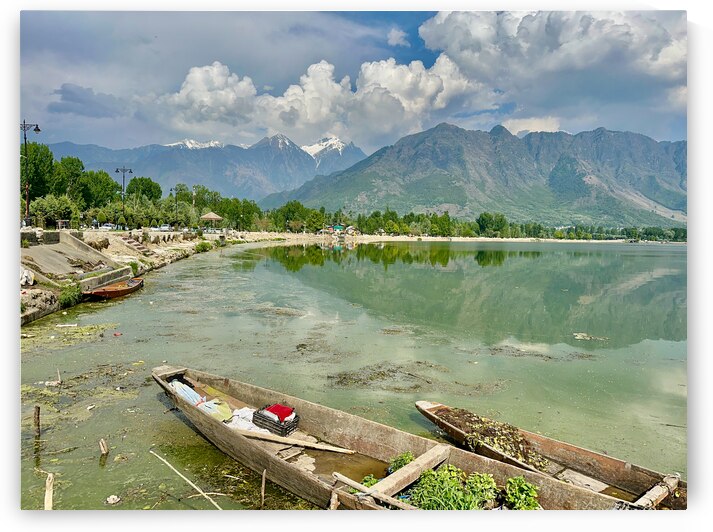 Dal Lake Srinagar 3 by Jimmy Roy Photos