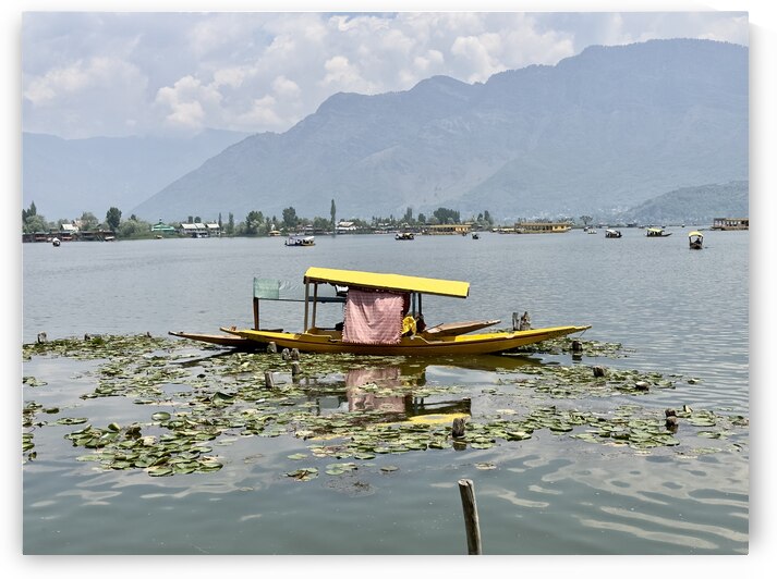 Dal Lake Srinagar 9 by Jimmy Roy Photos