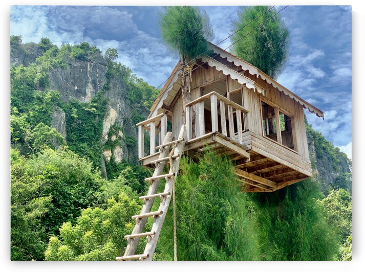 The Treehouse 2 by Jimmy Roy Photos