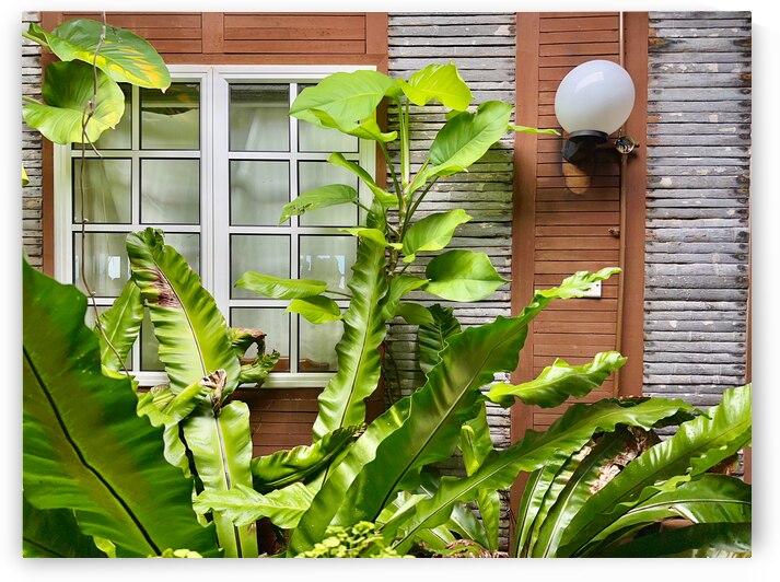 Maboul Island 19 by Jimmy Roy Photos