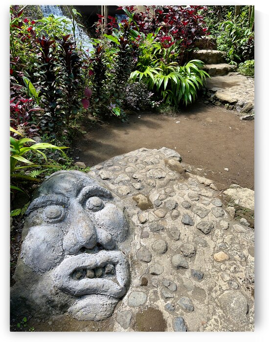 Face in the Ground Munduk Bali by Jimmy Roy Photos