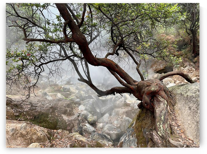 Cibuni Rengganis Crater Java Indonesia 7 by Jimmy Roy Photos