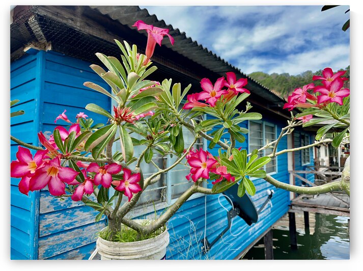 Sim Sim Traditional Floating Village in Sandakan 9 by Jimmy Roy Photos