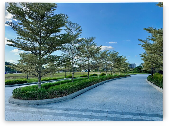 Park in Bandar Seri Begawan Brunei by Jimmy Roy Photos