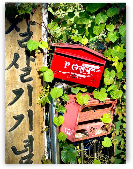 Ihwa Mural Village Seoul Korea 11 by Jimmy Roy Photos