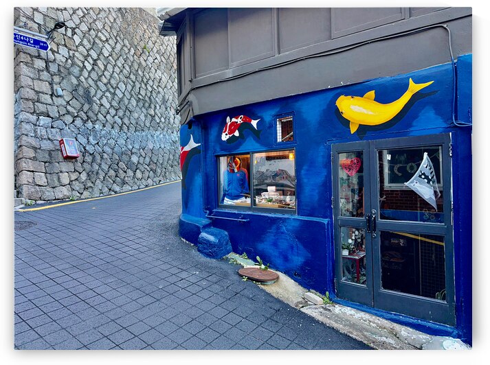 Ihwa Mural Village Seoul Korea 4 by Jimmy Roy Photos