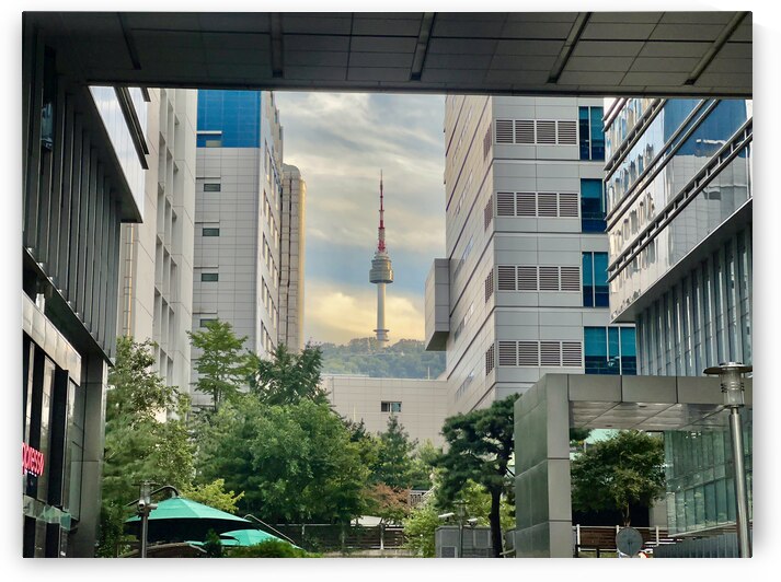 Namsan Tower Seoul South Korea 1 by Jimmy Roy Photos