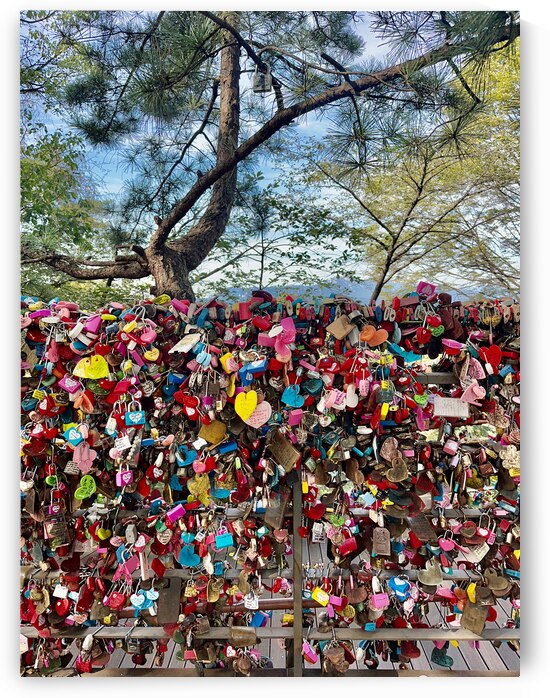 Namsan Tower Seoul South Korea 2 by Jimmy Roy Photos