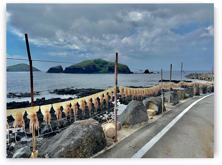 Squids on the Line Jeju South Korea by Jimmy Roy Photos