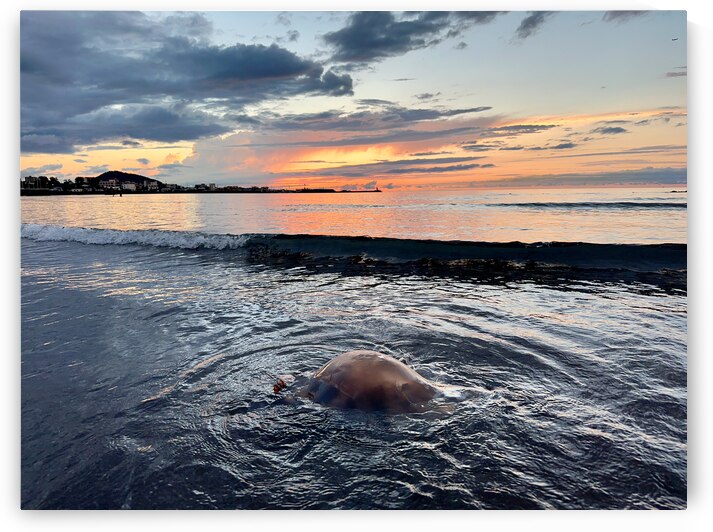 Samyang Beach Sunset Jeju South Korea 6 by Jimmy Roy Photos