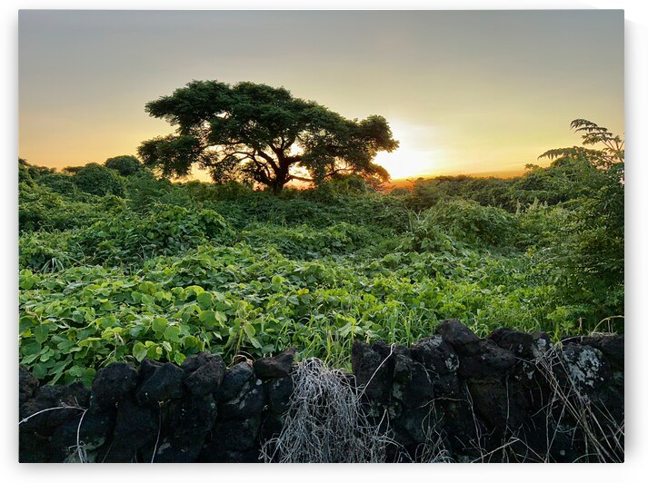 The Sunset Behind Jeju South Korea by Jimmy Roy Photos
