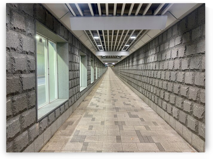 The Fancy Tunnel Seoul Korea by Jimmy Roy Photos