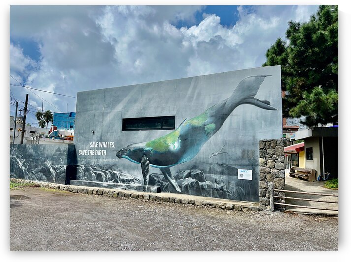 Seogwipo Jeju South Korea 2 by Jimmy Roy Photos