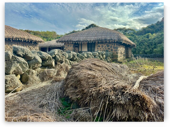 Stone Park Jeju South Korea 3 by Jimmy Roy Photos