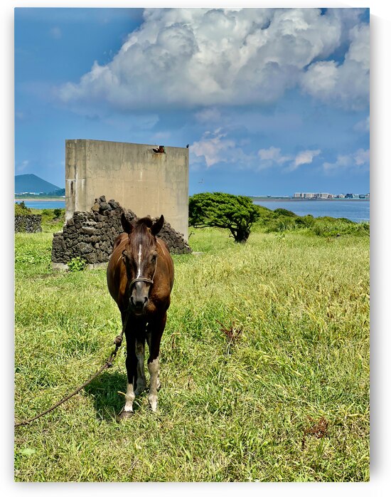 Seopjikoji Jeju South Korea 2 by Jimmy Roy Photos